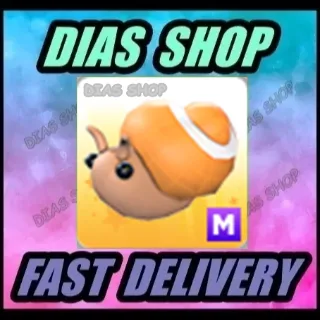 Pet | Mega Trapdoor snail