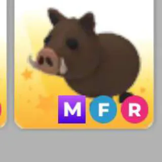 Mfr Boar Adopt Me Roblox