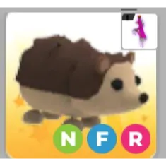 Nfr hedgehog adopt me