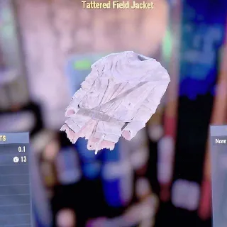 Tattered Field Jacket