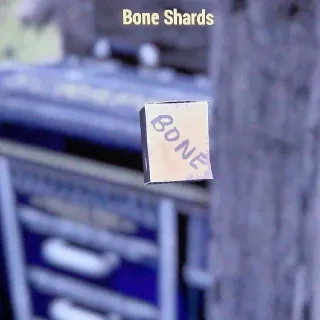 10k Bone Shards