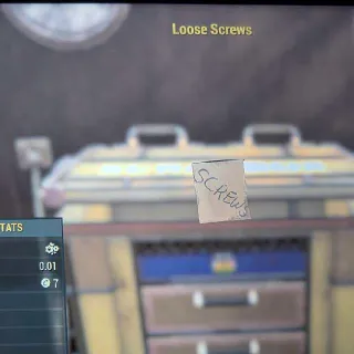 20k Loose Screws