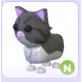 N PERSIAN CAT