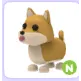 N SHIBA INU
