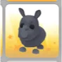 RHINO