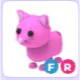 FR PINK CAT
