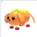 CORN DOGGO
