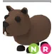 NR Capybara | Adopt Me!