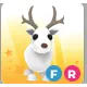 FR ARCTIC REINDEER