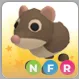 NFR SHREW