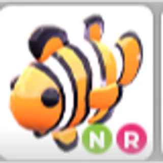 CLOWNFISH NR