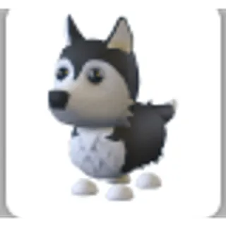 HUSKY