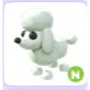 N POODLE