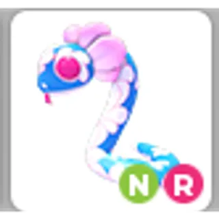 BLOSSOM SNAKE NR