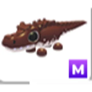COCOADILE M