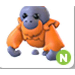 ORANGUTAN N