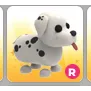 R DALMATIAN
