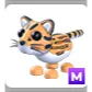 M OCELOT