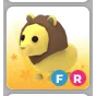 FR LION
