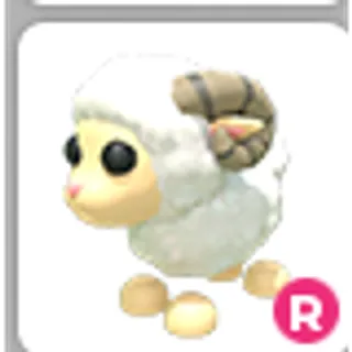 RAM R
