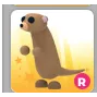 R MEERKAT