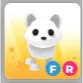 FR ARCTIC FOX