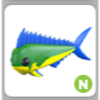 MAHI MAHI N