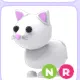 NR SNOW CAT 