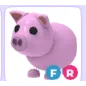 FR PIG