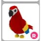 R Parrot | Adopt Me!