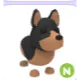 N AUSTRALIAN KELPIE