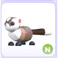 N BLACK-FOOTED FERRET 