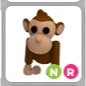 NR MONKEY