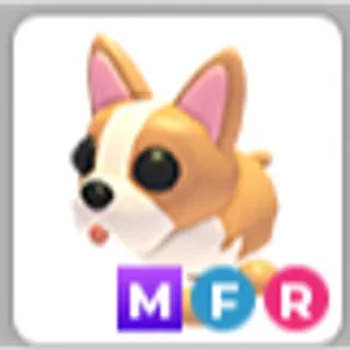 FRENCH BULLDOG MFR
