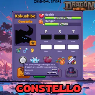 CONSTELLO| DRAGON ADVENTURES