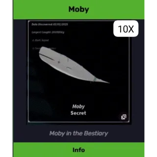 MOBY FISCH