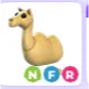 NFR CAMEL