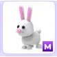 M BUNNY