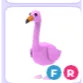 FR FLAMINGO
