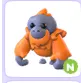 N ORANGUTAN 