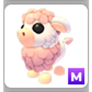 ANGUS COW M