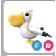 FR PELICAN