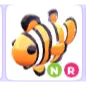 NR CLOWNFISH