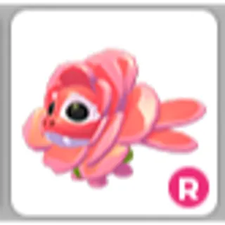 ROSE DRAGON R