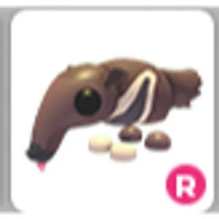 GIANT ANTEATER R