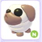N SNOWBALL PUG