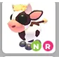 NR COW CALF 