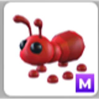 ANT M