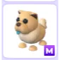 M TAN CHOW-CHOW
