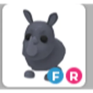 RHINO FR